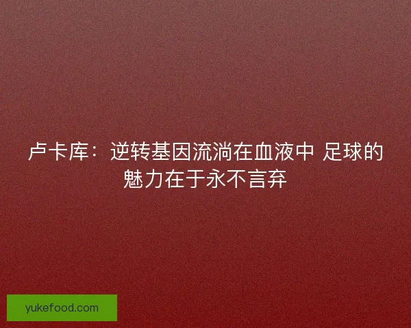 卢卡库：逆转基因流淌在血液中 足球的魅力在于永不言弃