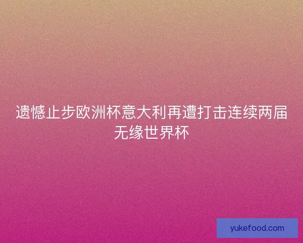 遗憾止步欧洲杯意大利再遭打击连续两届无缘世界杯